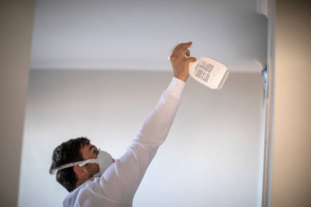 Best Mold Removal Company Near Me  in Wade Hampton, SC
